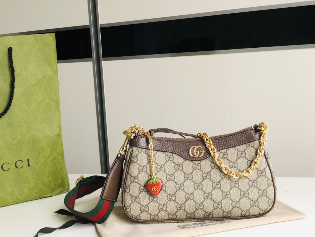Gucci Chain Bag-25*15*6C